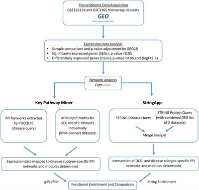 Mapping Transcriptome Data to Protein–Protein Interaction Networks of Inflammatory Bowel Diseases Reveals Disease-Specific Subnetworks